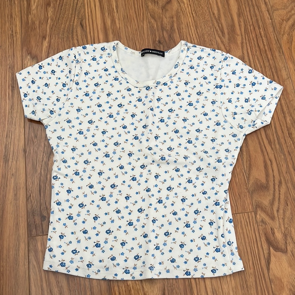 Brandy Melville, blue floral crop top, never worn before